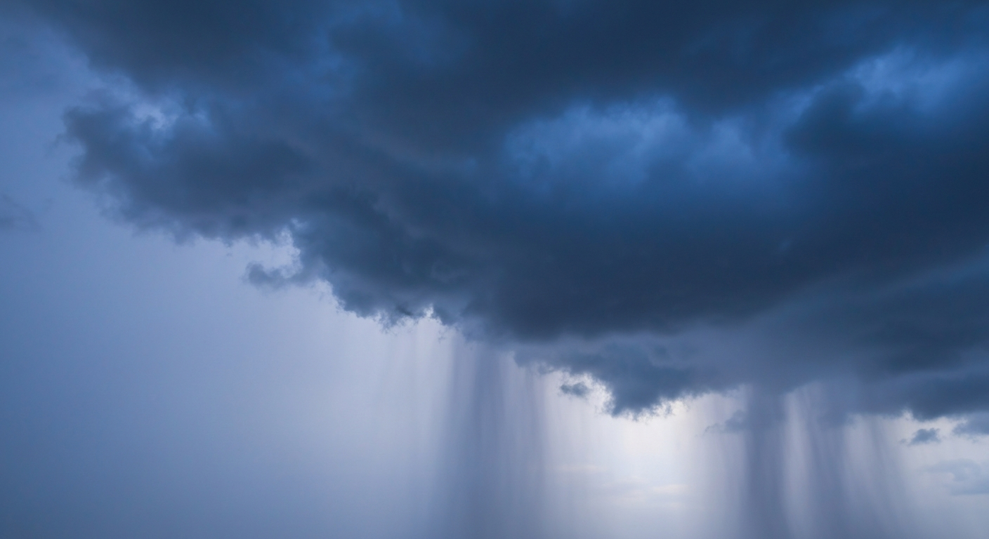 Mountain Brook Weather: Moderate rain, High of 74°F