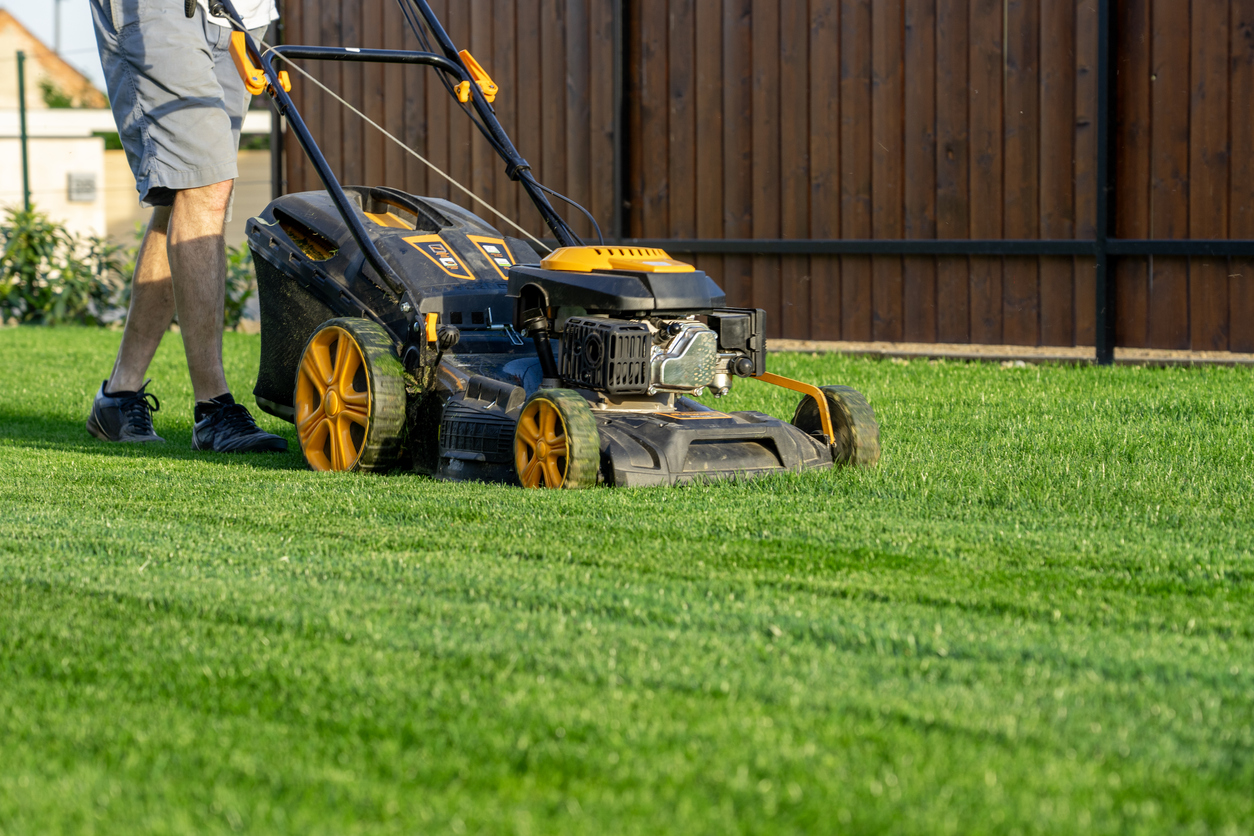 Lawn Mowing / Edging