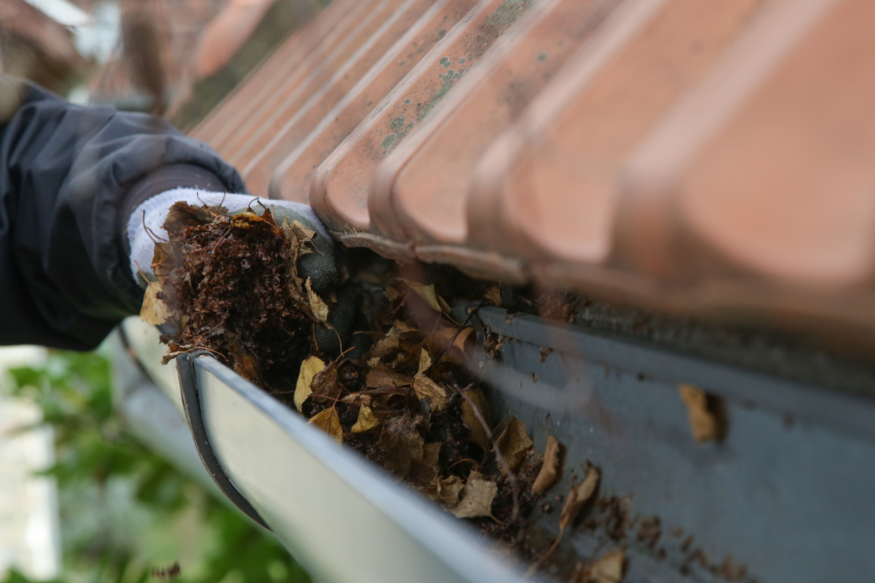 Gutter Cleaning